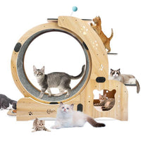 Cat Wheel 6-in-1 Cat Sports Wheel, Upgraded Indoor Cat Wheel Sports Device