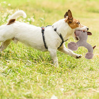 Large Dog Squeaky Toys Stuffed Animal Dog Plush Toy