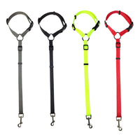 Pet safety leash