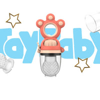 Baby Pacifiers Fruit Feeder