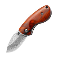 Outdoor Carry Field Mini Fruit Knife