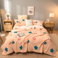 Summer Coral Fleece Blanket Thin Spring And Autumn Flannel Blanket