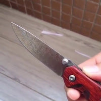 Outdoor Carry Field Mini Fruit Knife