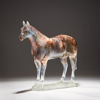 Transparent Gradient, Golden Bronze Horse