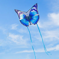 Couple Kite Breeze Easy To Fly Beginner