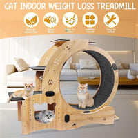 Cat Wheel 6-in-1 Cat Sports Wheel, Upgraded Indoor Cat Wheel Sports Device