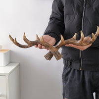 S M L Decorative Antler Hooks