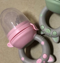 Baby Pacifiers Fruit Feeder