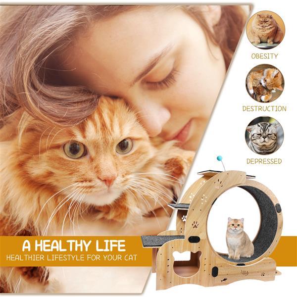 Cat Wheel 6-in-1 Cat Sports Wheel, Upgraded Indoor Cat Wheel Sports Device