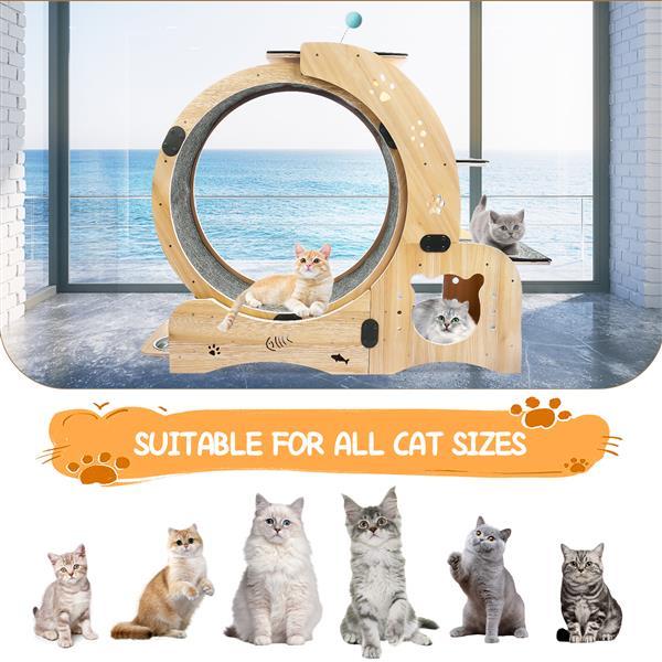 Cat Wheel 6-in-1 Cat Sports Wheel, Upgraded Indoor Cat Wheel Sports Device